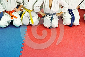 Kids training on karate-do. Banner with space for text. For web pages or advertising printing.