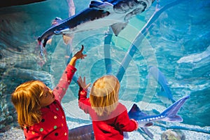 Kids- two little girls- watching fishes in aquarium
