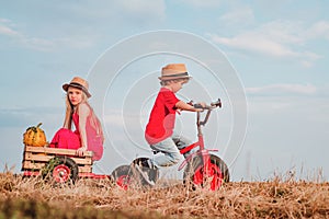 Kids with vintage colorful tricycle. Cute toddler girl and boy working on farm outdoors. Childhood memories. Sister and