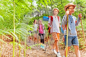 Kids walk with hiking poles among fern