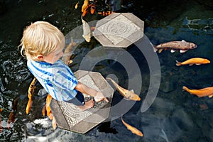 Kids walk by stepping stones, feeding koi fishes in pond