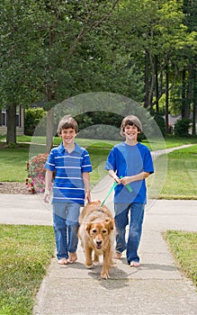 Kids Walking the Dog