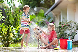 Kids wash dog in summer garden. Water hose fun