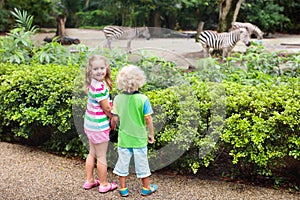 Kids watch zebra at zoo. Children at safari park
