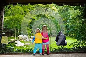 Kids watching animals in the zoo