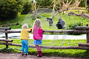 Kids watching animals at the zoo