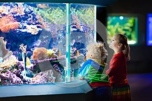 Kids watching fish in tropical aquarium