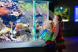 Kids watching fish in tropical aquarium