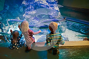 Kids watching fishes in aquarium, learning marine life