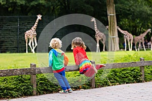 Kids watching giraffe at the zoo