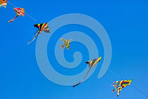 Kids wind kites on the blue sky