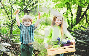 Kids working in volunteer group. Childhood on countryside. Children farmer concept. Happy children farmers working with