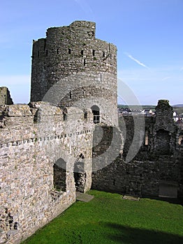 Kidwelly Castle 2 photo