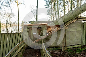 Kielder England: January 2022: Aftermath of Storm Arwen. Tree fallen on a lakeside cabin