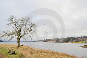 Kielder England: January 2022: Kielder Reservoir view from Rushy Knowe