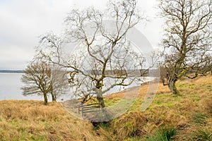 Kielder England: January 2022: Kielder Reservoir view from Rushy Knowe