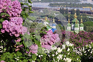 Kiev Botanical Garden in spring photo