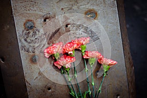 Kiev. Ukraine. February 23, 2014. Flowers for dead people on th