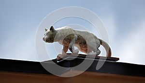 Sculpture of a cat hunts on the roof of the house