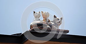 Sculpture of a cat with kittens on the roof