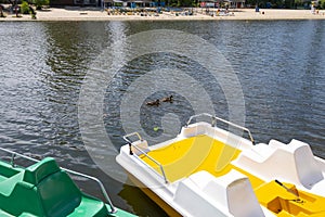Kiev, Ukraine, May 30, 2019: Boat and catamaran rental. People on the city beach by the river, on a sunny day. Beach season
