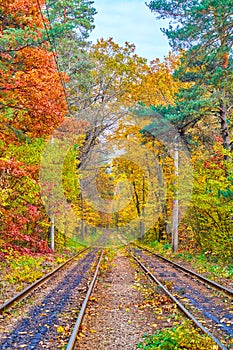 The tram routes in autumn forest, Kyiv, Ukraine photo