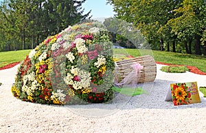 KIEV, UKRAINE - SEPTEMBER29: Chrysanthemumsr Show Landscape Park