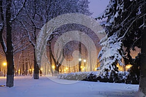 Kiev winter, Mariinsky park photo