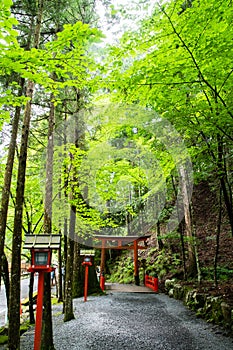 Kifune Shrine of fresh verdure - Approach to Okumiya and Guard frame, Kyoto, Japan