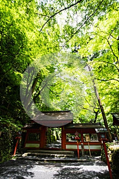 Kifune shrine of fresh verdure - Approach to Okumiya and itâ€™s gate, Kyoto, Japan