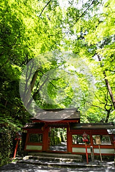 Kifune shrine of fresh verdure - Approach to Okumiya and itâ€™s gate, Kyoto, Japan