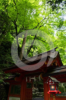 Kifune shrine of fresh verdure - Approach to Okumiya and itâ€™s gate, Kyoto, Japan