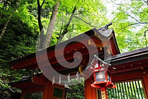 Kifune shrine of fresh verdure - Approach to Okumiya and itâ€™s gate, Kyoto, Japan