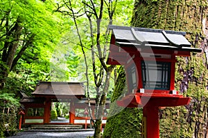 Kifune shrine of fresh verdure - Approach to Okumiya and itâ€™s gate, Kyoto, Japan