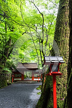 Kifune shrine of fresh verdure - Approach to Okumiya and itâ€™s gate, Kyoto, Japan