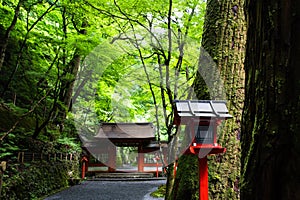 Kifune shrine of fresh verdure - Approach to Okumiya and itâ€™s gate, Kyoto, Japan