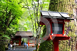 Kifune shrine of fresh verdure - Approach to Okumiya and itâ€™s gate, Kyoto, Japan