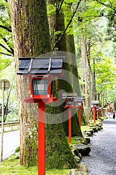 Kifune Shrine of fresh verdure - Approach to Okumiya, Kyoto, Japan