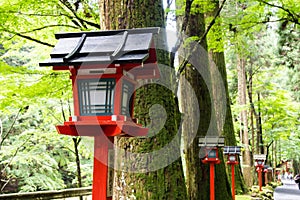 Kifune Shrine of fresh verdure - Approach to Okumiya, Kyoto, Japan