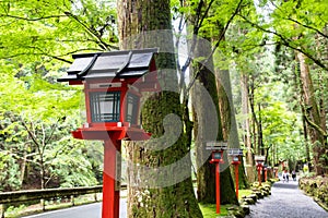 Kifune Shrine of fresh verdure - Approach to Okumiya, Kyoto, Japan