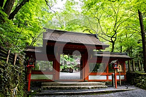 Kifune Shrine of fresh verdure - Okumiya, Kyoto, Japan