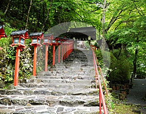 Kifunezhizinzia's entrance