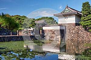 The Kikyo-bori moat overgrown with water plants around the Tokyo Imperial Palace. Tokyo. Japan photo