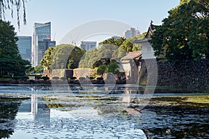 Kikyobon moat around the Tokyo Imperial Palace. Tokyo Japan photo