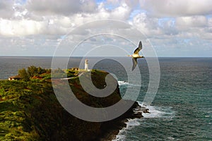 Kilauea Lighthouse