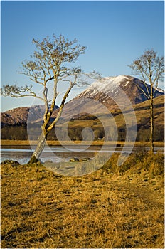 Kilchurn Castle in winter scenery- Scotland