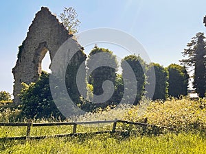 Kildare Abbey, The Grey Abbey, county Kildare, Ireland