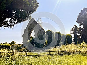 Kildare Abbey, The Grey Abbey, county Kildare, Ireland