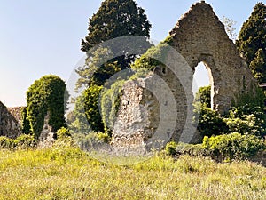 Kildare Abbey, The Grey Abbey, county Kildare, Ireland