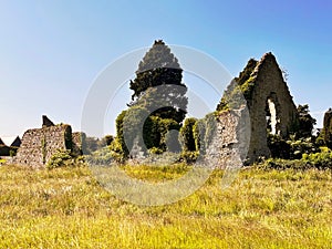 Kildare Abbey, The Grey Abbey, county Kildare, Ireland